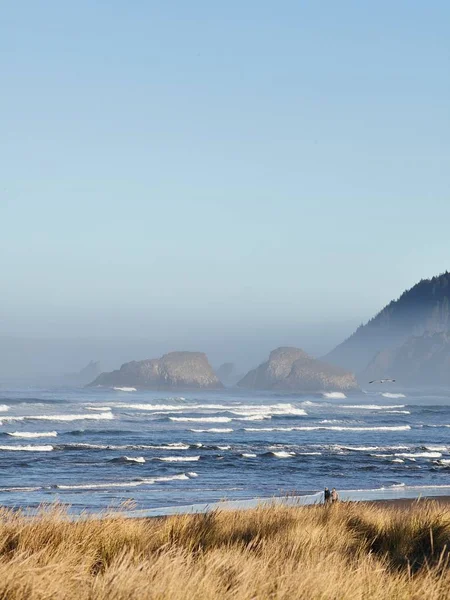Vertikal bild av ett fascinerande landskap av havsvågor vid Cannon Beach, Oregon, Usa — Stockfoto