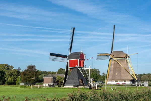 Brett vinkel skott av två väderkvarnar omgiven av träd och vegetation under en klarblå himmel — Stockfoto