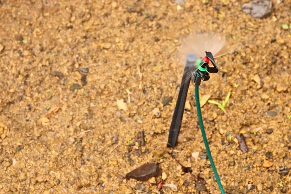 Gartensprenger sprühen Wasser auf Pflanzen — Stockfoto