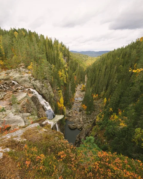 緑の木々とノルウェーの川がたくさんある美しい風景の垂直方向の高角度ショット — ストック写真