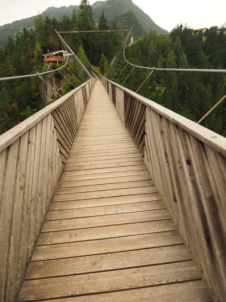 Foto vertical de un canopy paseo con árboles verdes, montañas en segundo plano. — Foto de Stock