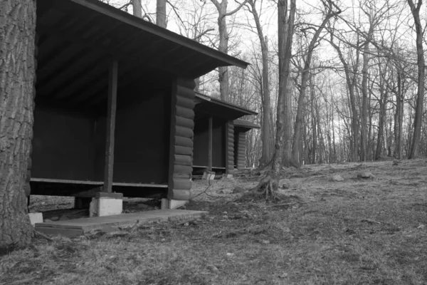 森の真ん中に空の小屋の低角度グレースケールショット — ストック写真