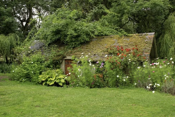 Wooden house in a grassy field surrounded by plants and flowers — 스톡 사진