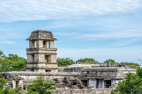 青い空の下で木々に囲まれたメキシコのパレンケの広い角度のショット — ストック写真