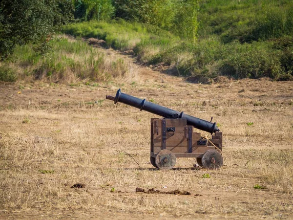 Forntida medeltida kanon i ett gräsfält omgivet av grönska — Stockfoto