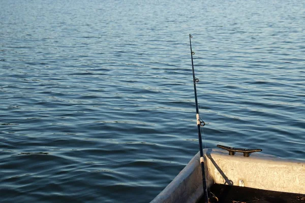 Eine Aufnahme Einer Person Die Fische Aus Dem Meer Fängt — Stockfoto