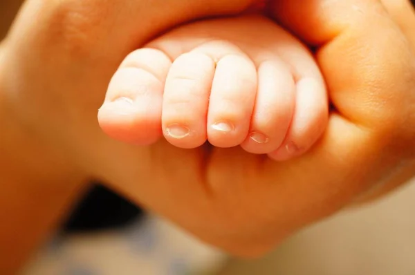 Närbild bild bild av mamman håller sitt nyfödda barns fötter — Stockfoto