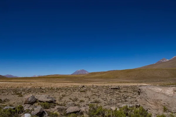 Піщані пагорби в пустельній місцевості з чистим небом на задньому плані. — стокове фото