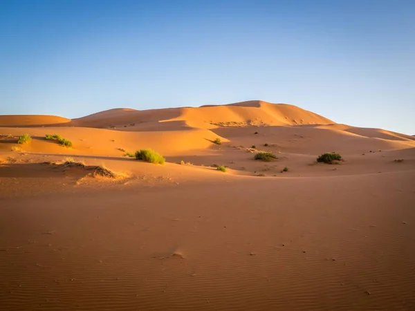 Sahara pustynia pod słońcem i błękitne niebo w Maroku w Afryce — Zdjęcie stockowe