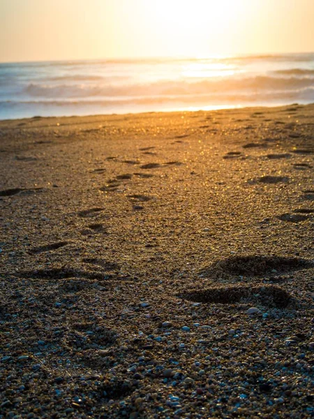 Foto verticale della spiaggia con passi su di essa circondata dal mare sotto la luce del sole — Foto Stock