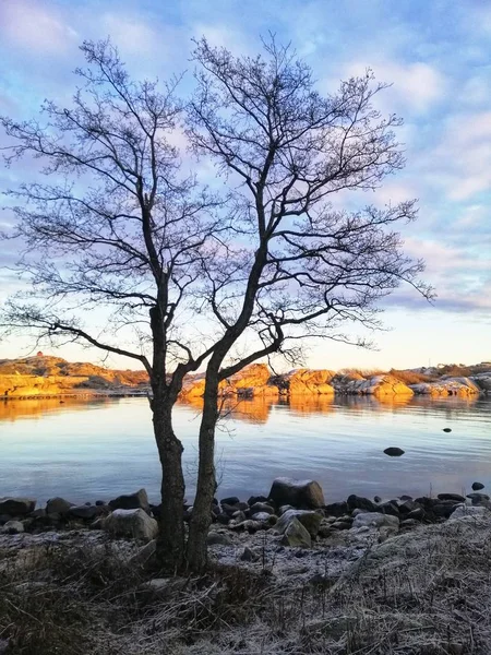 노르웨이의 매혹적 풍경을 수직으로 — 스톡 사진