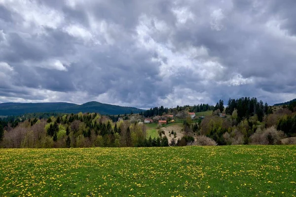 Arka planda bulutlu bir gökyüzünün altında ağaçlarla kaplı evleri ve tepeleri olan çiçek tarlaları — Stok fotoğraf