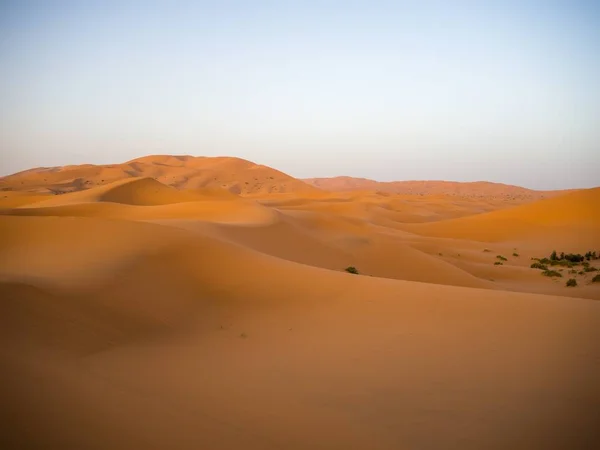 Desierto del Sáhara bajo la luz del sol y el cielo azul en Marruecos en África —  Fotos de Stock