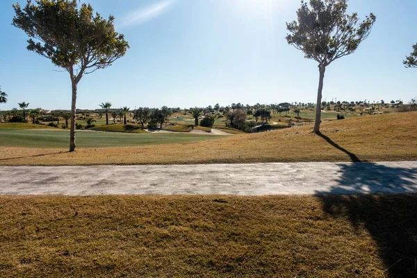 Vista Campo Golf Spagna Splendente Come Oro Sotto Raggi Del — Foto Stock