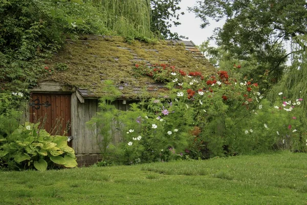 Casa de madera en un campo cubierto de hierba rodeada de plantas y flores — Foto de Stock