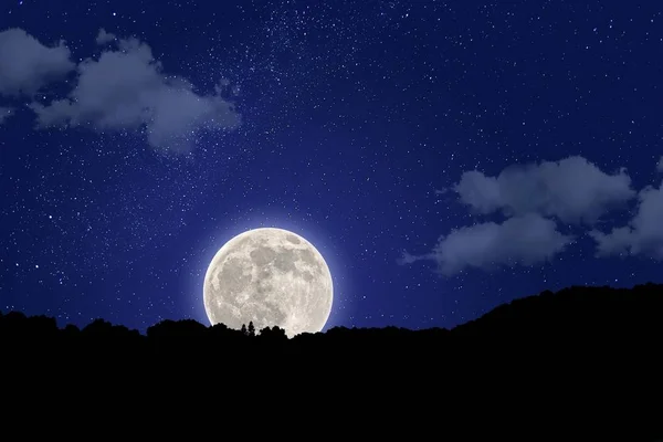 Silhueta disparou de uma floresta com uma lua brilhante com um céu azul estrelado à noite no fundo — Fotografia de Stock