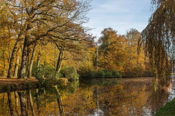 Потрясающий снимок озера посреди парка, полного деревьев — стоковое фото