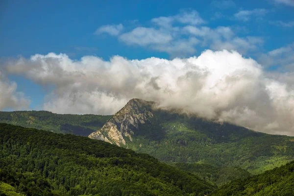 Krajina kopců pokrytá lesy pod slunečním svitem a zataženou oblohou — Stock fotografie