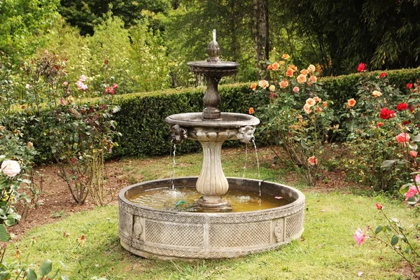 Water fountain in the middle of a garden full of colorful roses — Stock Photo, Image