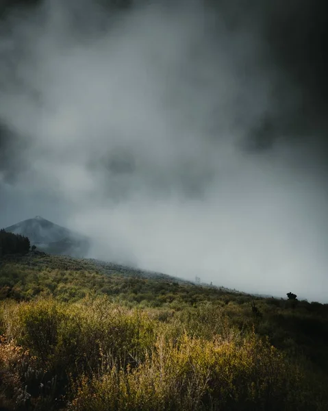 Vertikale Aufnahme des dunklen Nebels, der das grüne Tal bedeckt — Stockfoto