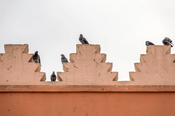 Tiro Close Vários Pássaros Negros Sentados Telhado Edifício — Fotografia de Stock