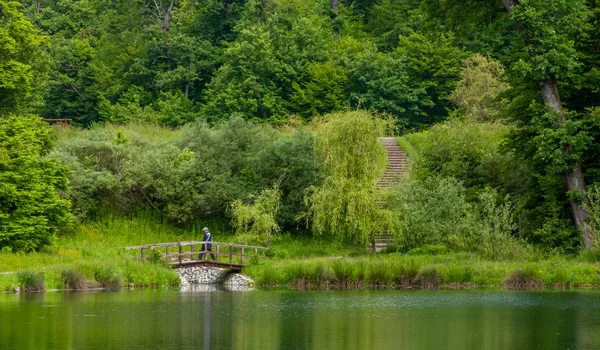 Pequena ponte no meio da natureza exuberante do Maksimir Park em Zagreb, Croácia — Fotografia de Stock