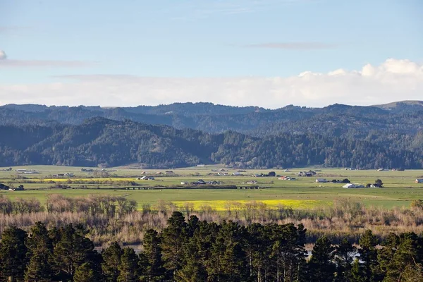 Early morning scenery of farmland near Eureka, California in Humboldt County — 스톡 사진