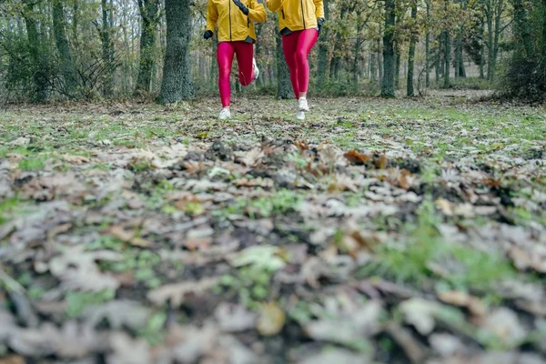 Erstaunliche Aufnahme von zwei Frauen in gelben Jacken und rosa Leggings, die an einem düsteren Tag in einem Wald joggen — Stockfoto