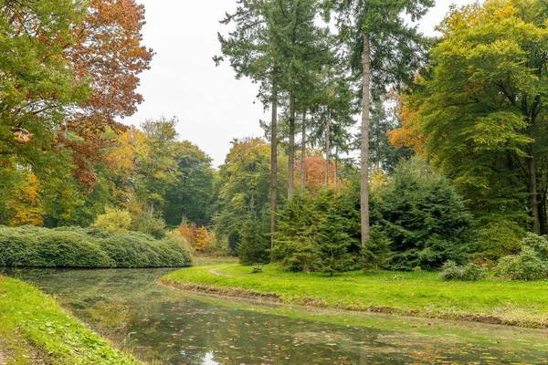 Grande disparo de um parque cheio de árvores com um lago em um dia nublado — Fotografia de Stock