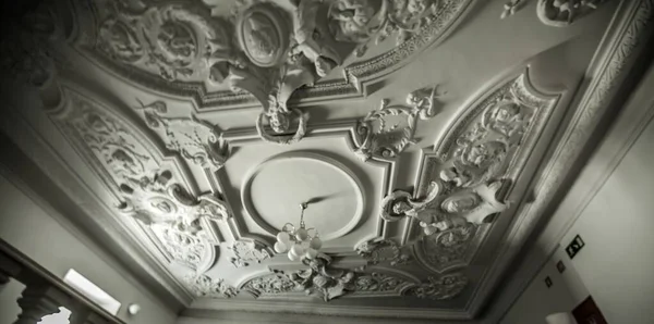斯洛文尼亚一座历史建筑天花板的全景灰度低角度摄影 — 图库照片