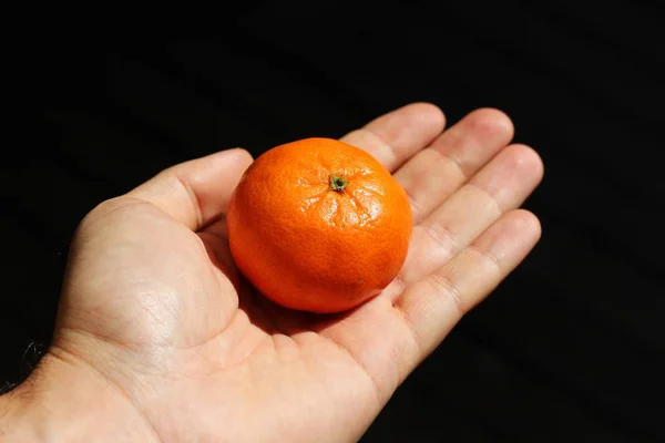 Primer Plano Ángulo Alto Una Persona Sosteniendo Una Mandarina Sobre — Foto de Stock