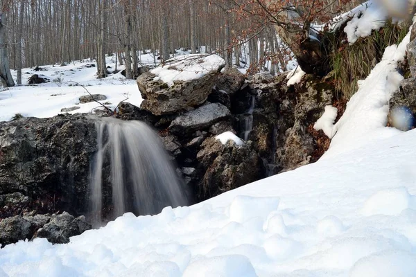 Landschapsopname van bos bedekt met sneeuw met een stromend water — Stockfoto