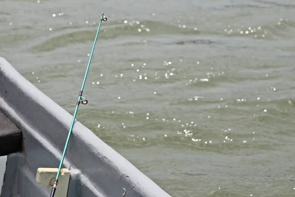 Tiro Ángulo Alto Una Persona Que Captura Peces Del Mar —  Fotos de Stock