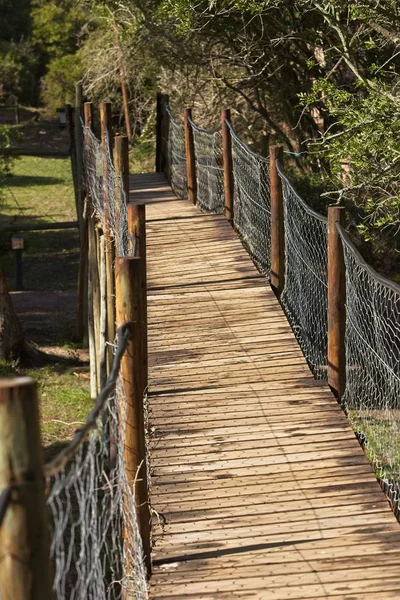 Vertikale Aufnahme einer Holzbrücke mit Metallzäunen inmitten eines Waldes — Stockfoto