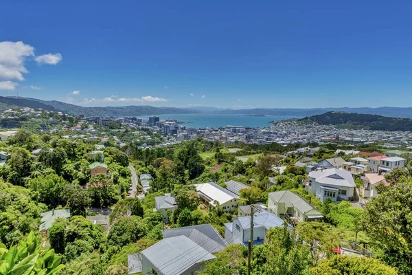 Beautiful shot of buildings surrounded by trees under a blue sky in New Zealand — ストック写真