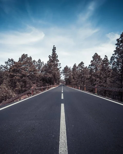 Pionowe ujęcie autostrady otoczonej drzewami pod błękitnym niebem — Zdjęcie stockowe