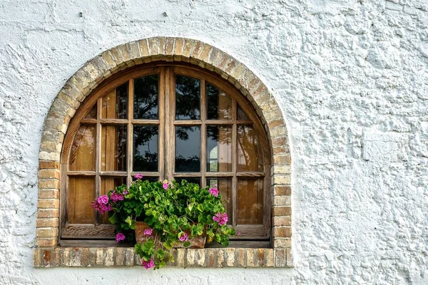 Detailní Záběr Květin Před Oknem Bílé Budovy — Stock fotografie