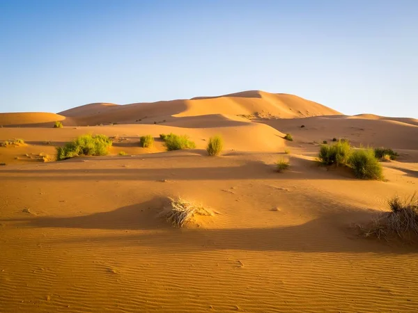 Szahara sivatag a napfény alatt és kék ég Marokkóban Afrikában — Stock Fotó