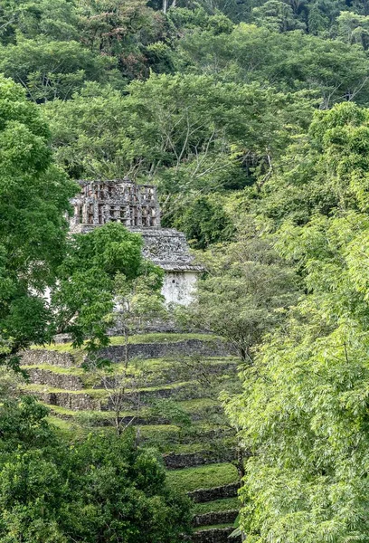 Vertical shot of an ancient building surrounded by trees and grass during daytime — Stock Photo, Image