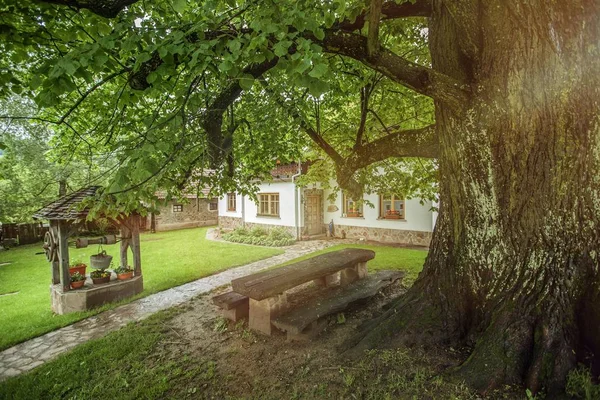 Árbol y un pozo en el jardín de una casa privada en el campo en Eslovenia — Foto de Stock
