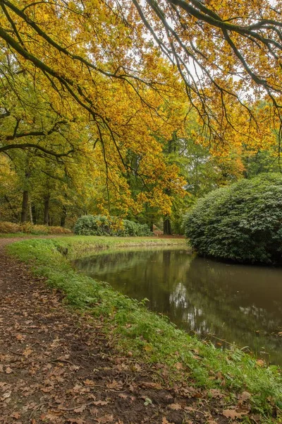Weitwinkelaufnahme eines Parks mit einem von Büschen und Bäumen umgebenen See — Stockfoto