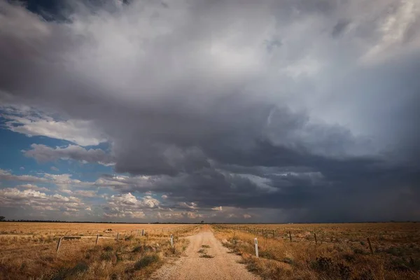 Vägen omgiven av ett fält täckt av grönska under en mörk molnig himmel — Stockfoto