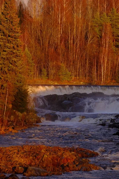 Verticaal beeld van een waterval omringd door bomen en rotsen onder het zonlicht bij zonsondergang — Stockfoto