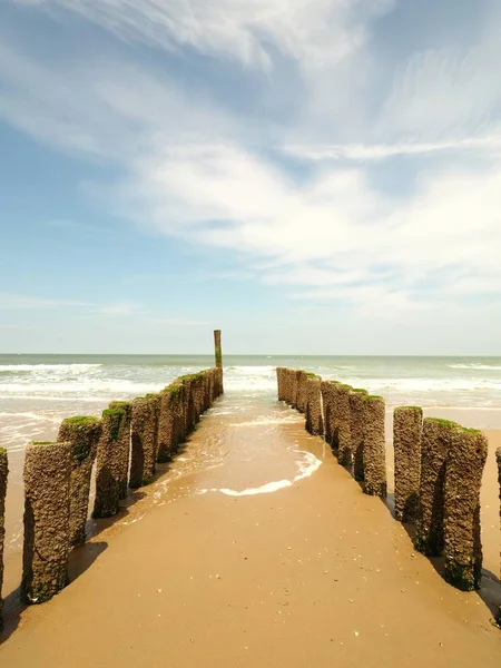 Vue verticale de brise-lames en bois sur la plage de sable doré avec un ciel clair et ensoleillé — Photo