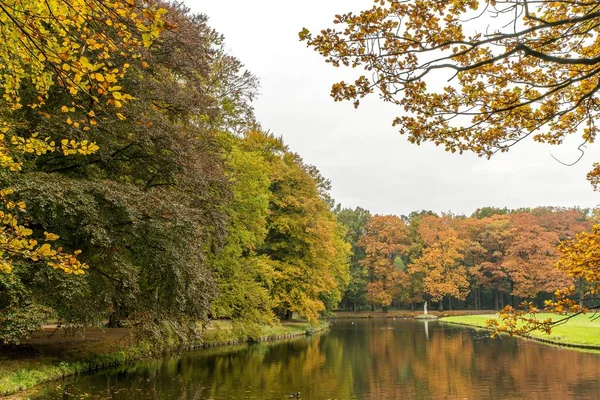 Sakin Bir Gölü Etrafı Ağaçlarla Çevrili Güzel Bir Park Görüntüsü — Stok fotoğraf