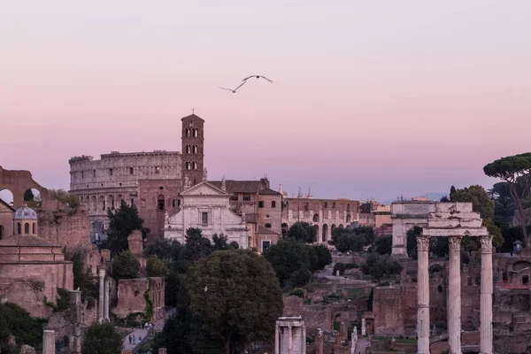 Перед Заходом Сонця Римі Італія Знімок Музею Палатин Пагорбі Палатин — стокове фото