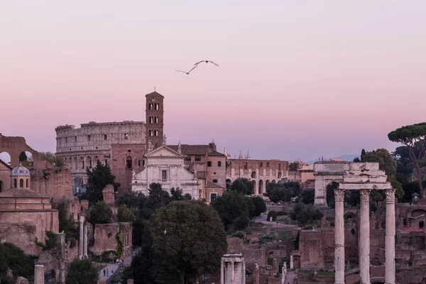 Front View Shot Palatine Museum Palatine Hill Sunset Rome Italy — Stock Photo, Image