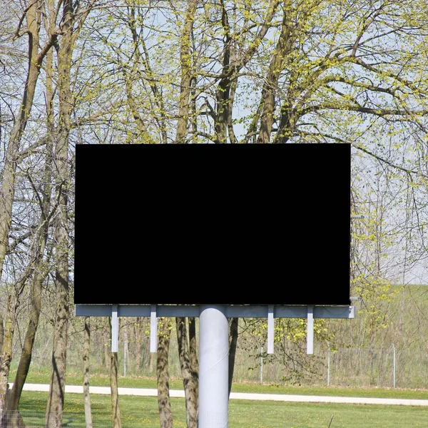 Черный экран телевизора с ветками деревьев на заднем плане — стоковое фото