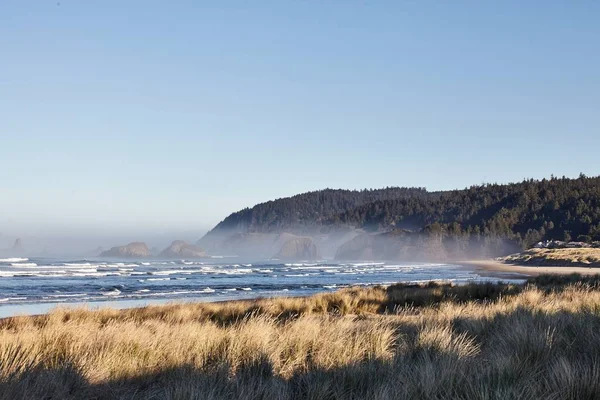 Paisaje Hierba Playa Mañana Cannon Beach Oregon — Foto de Stock