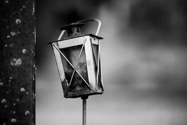 Arka planda bulanık bir sokak lambasının gri ölçekli görüntüsü — Stok fotoğraf